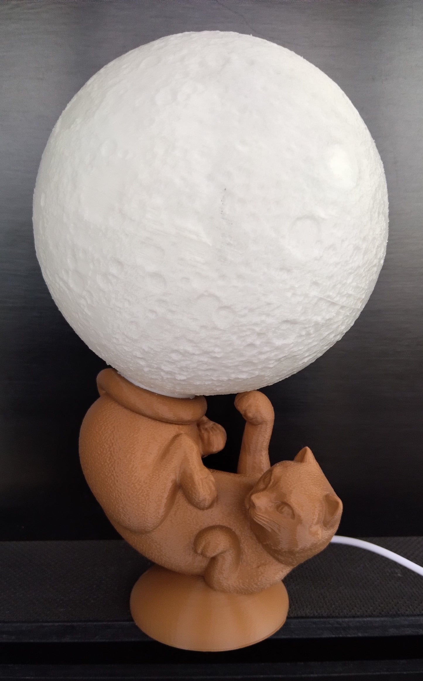 Lampe chat globe lumineux