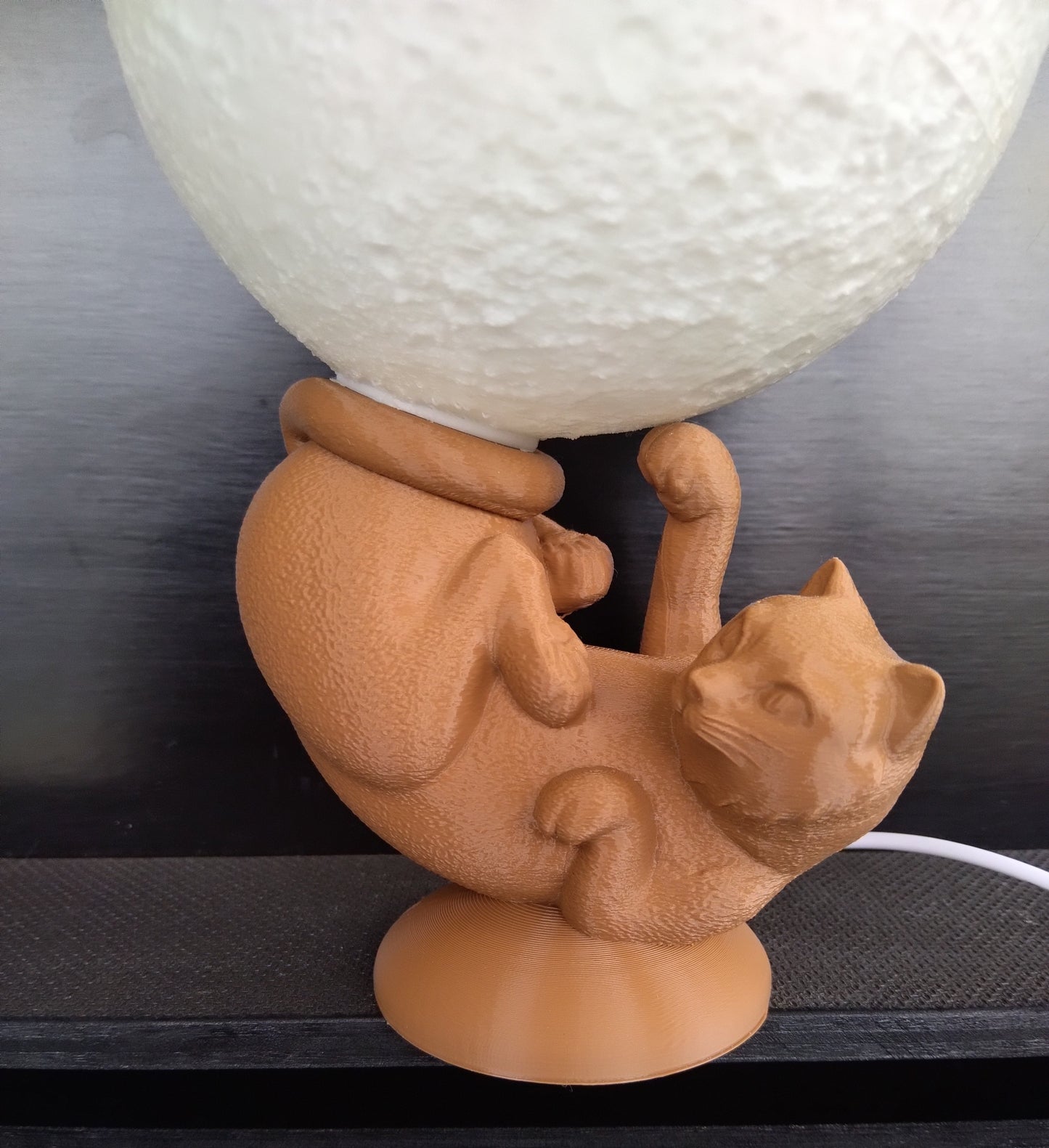 Lampe chat globe lumineux