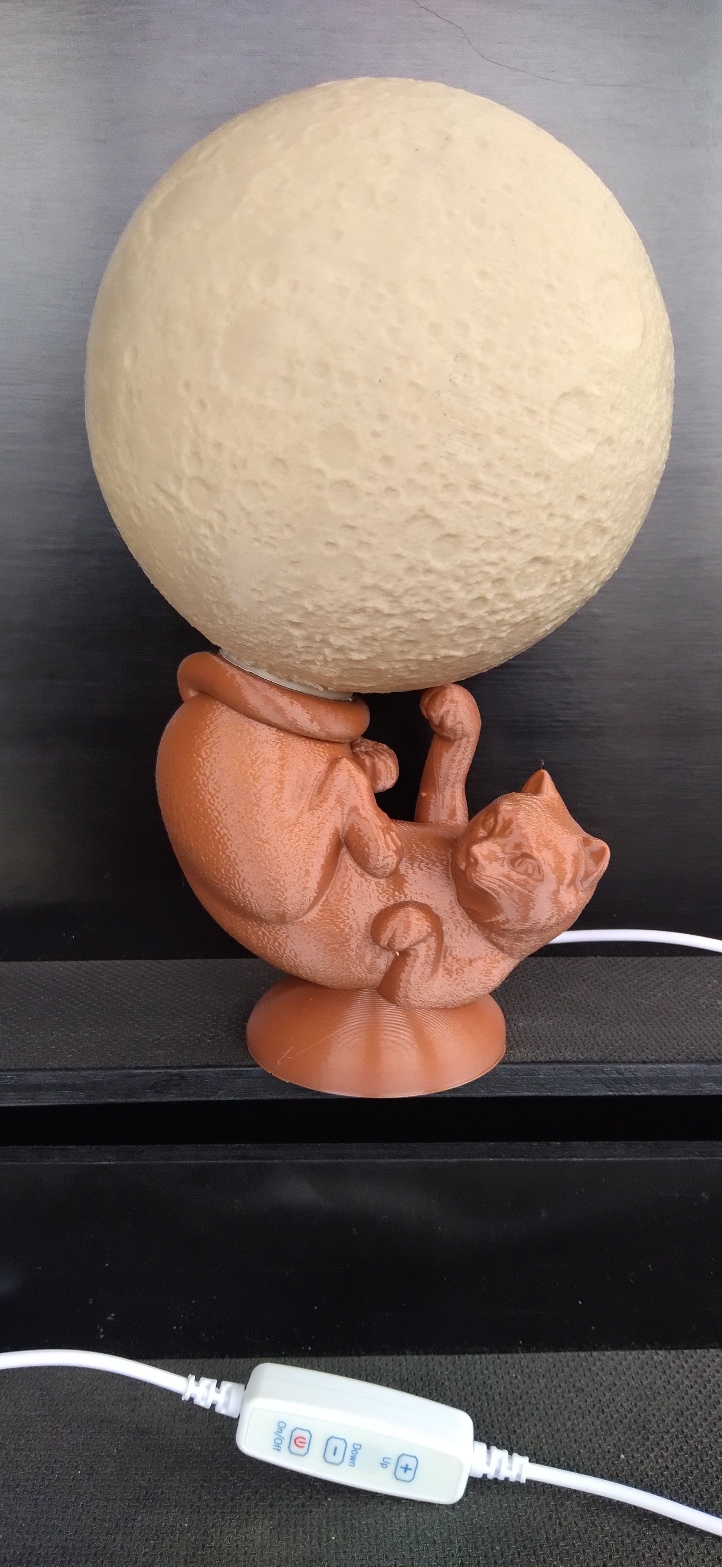 Lampe chat globe lumineux