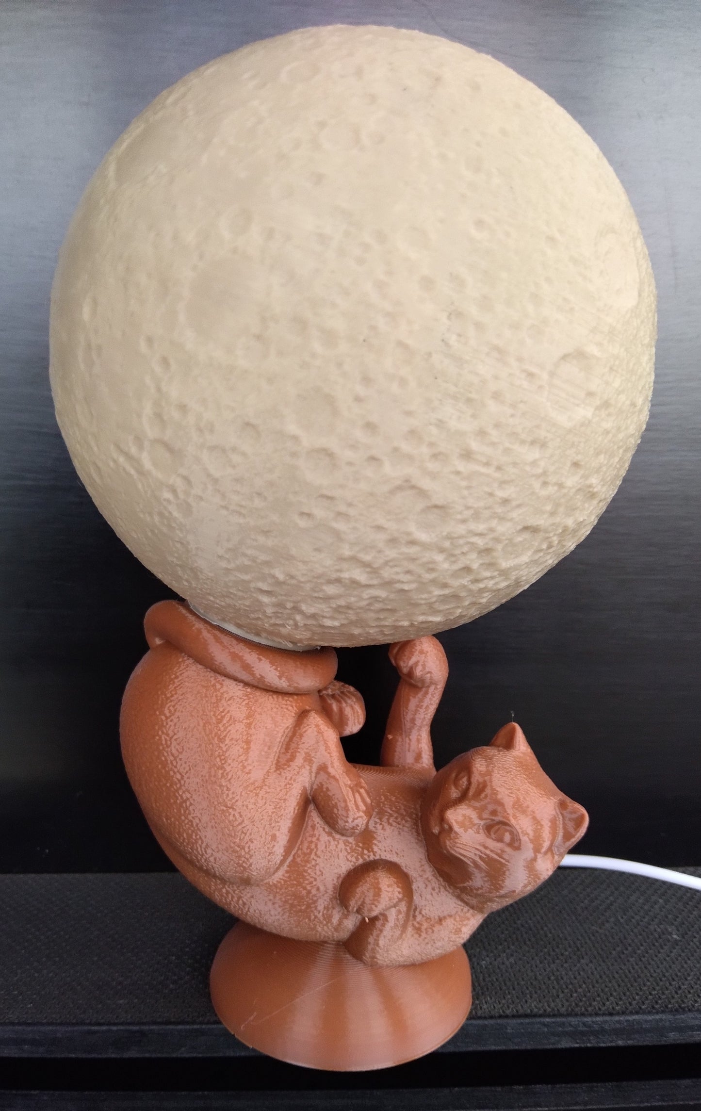 Lampe chat globe lumineux