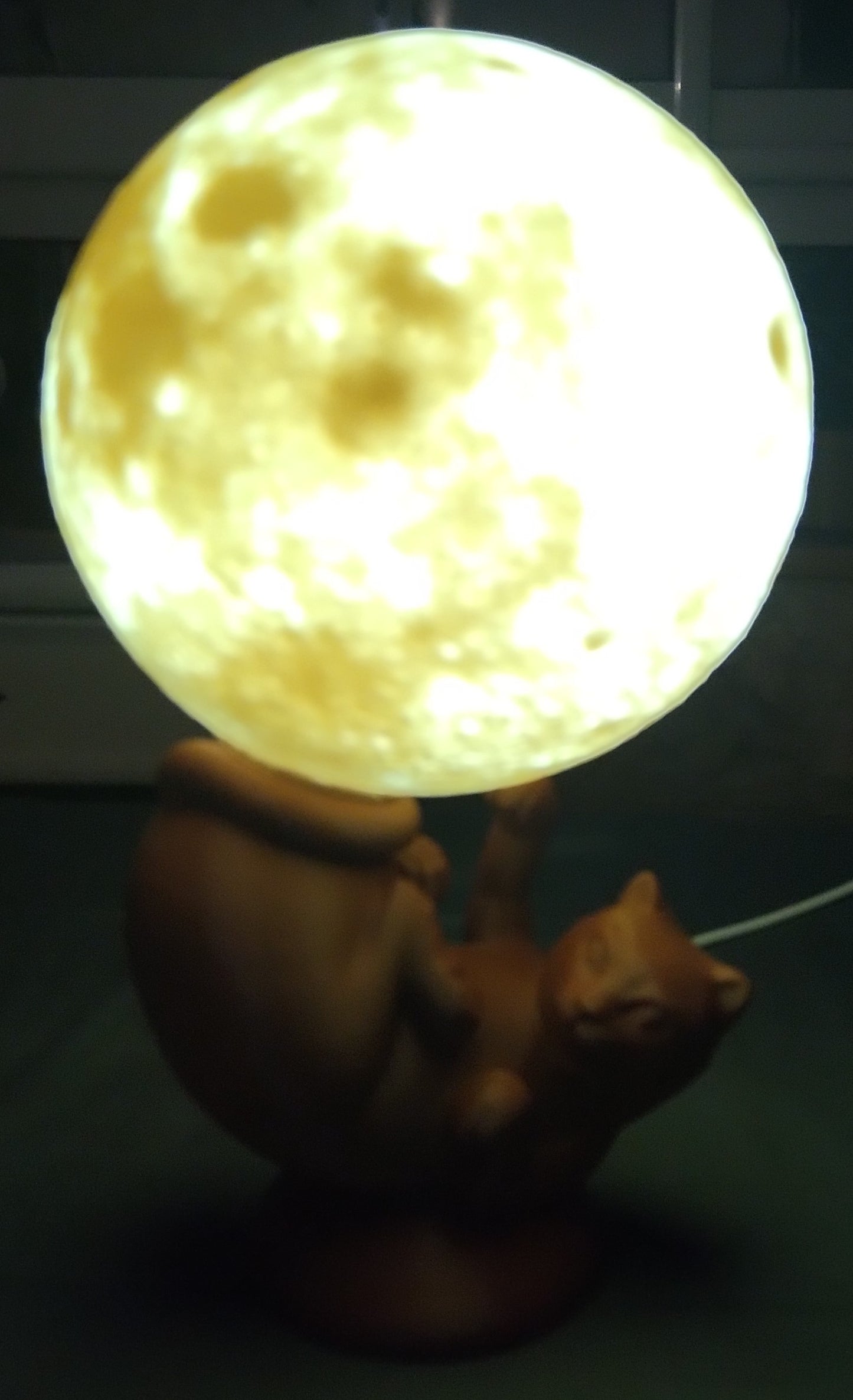 Lampe chat globe lumineux