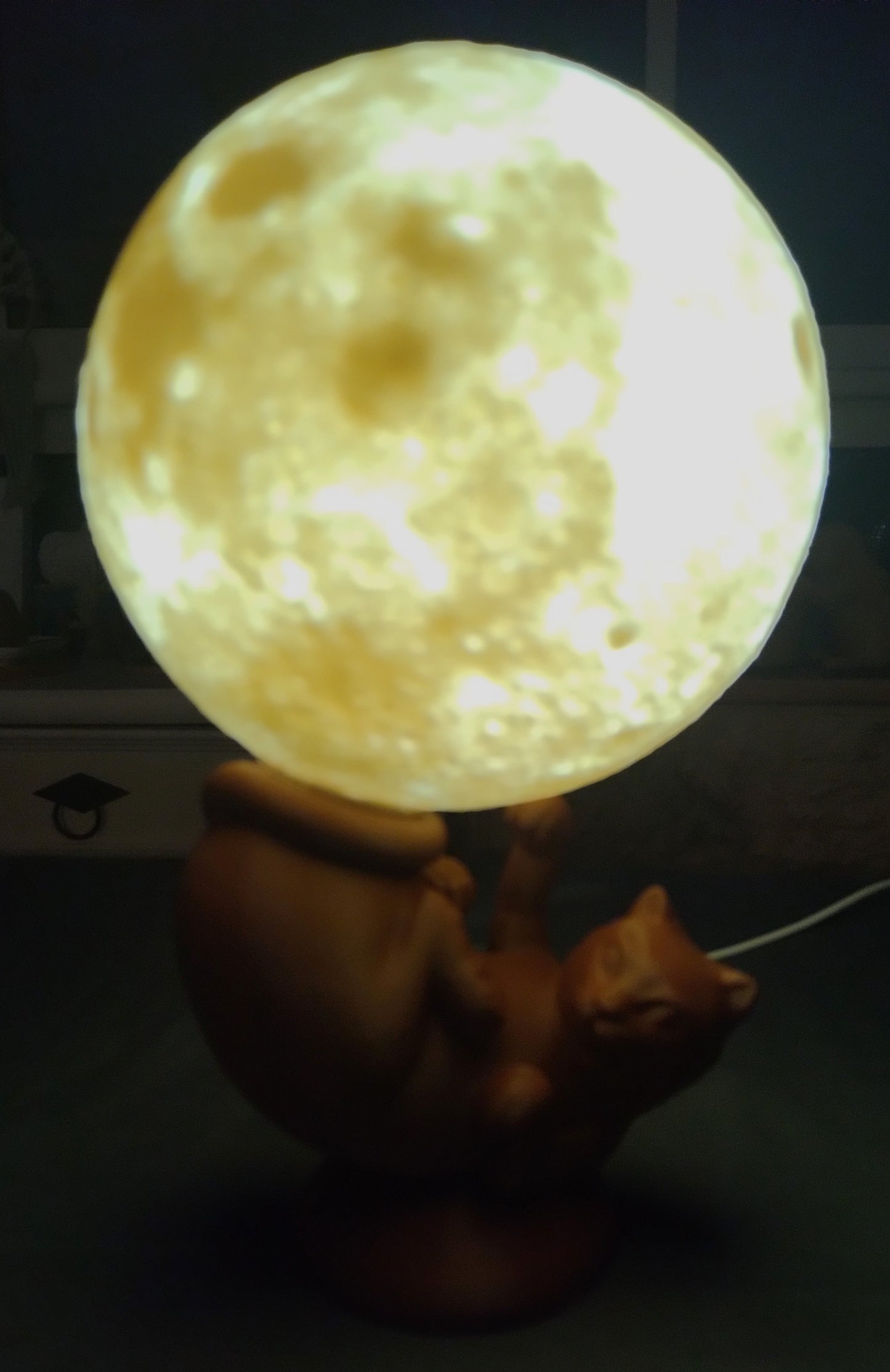 Lampe chat globe lumineux