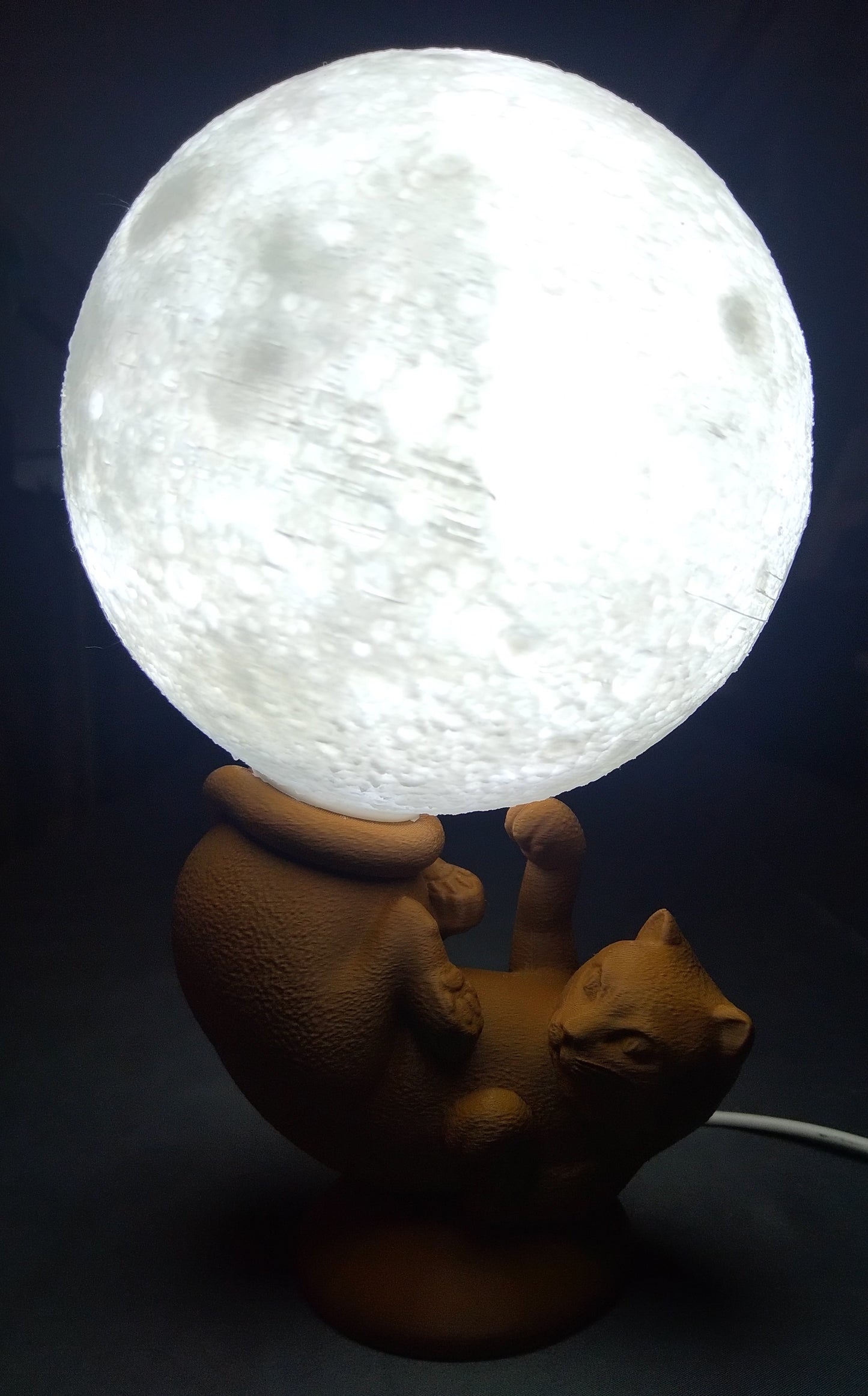 Lampe chat globe lumineux