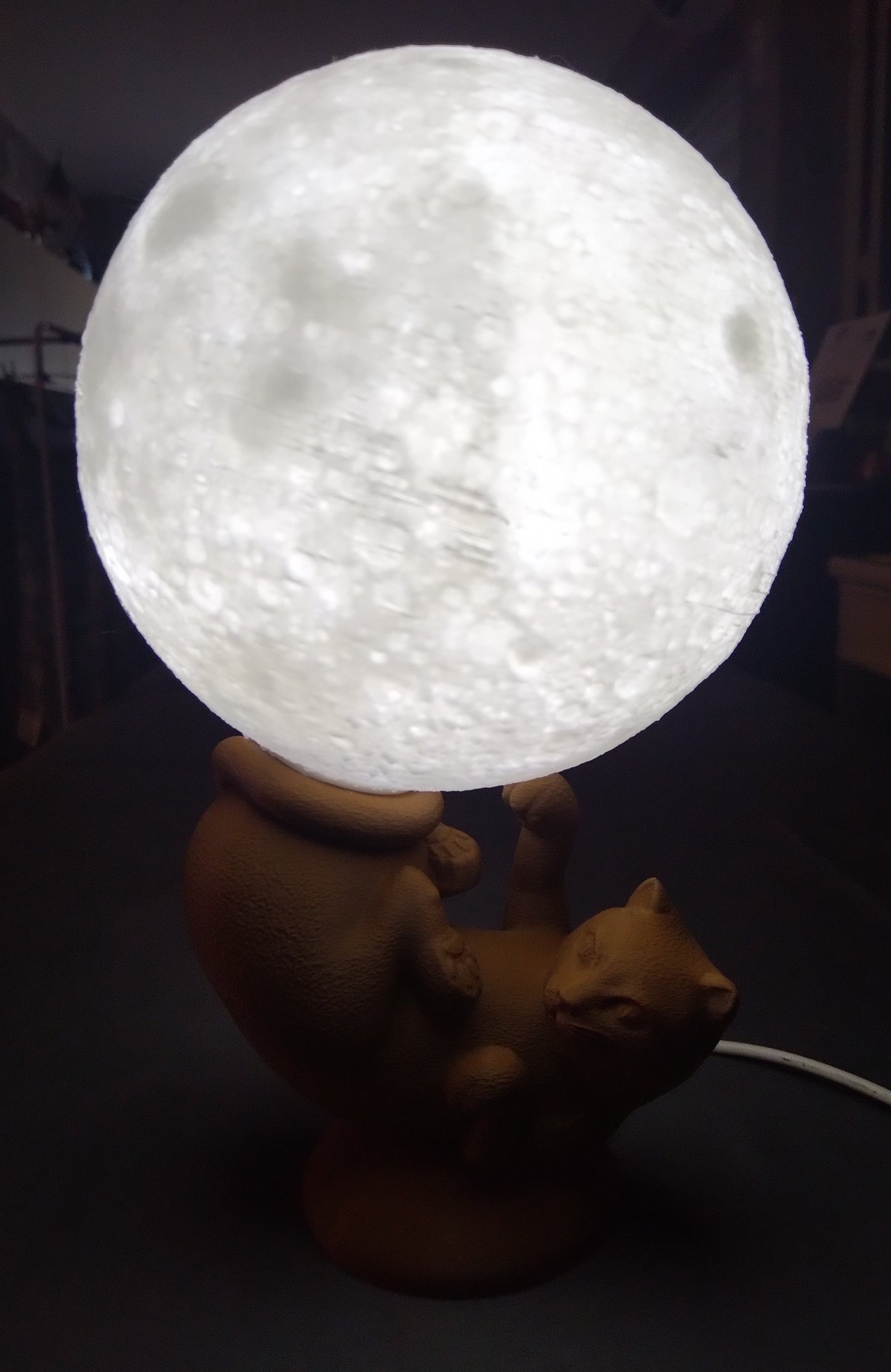 Lampe chat globe lumineux