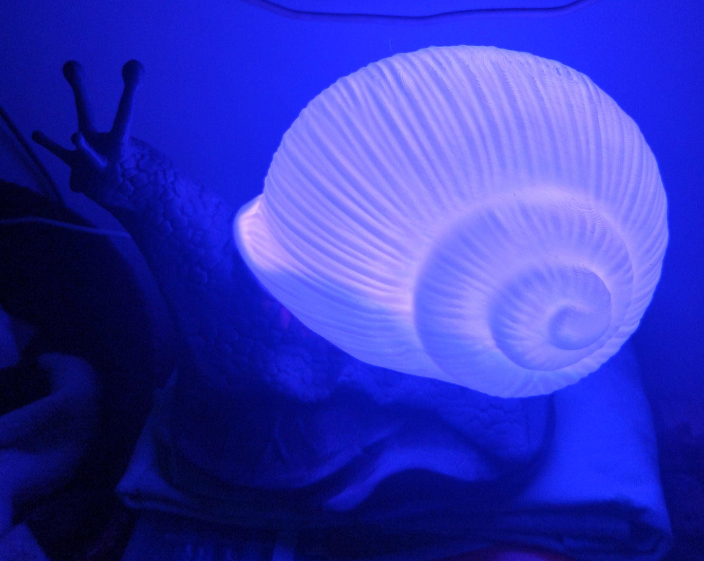 Lampe escargot