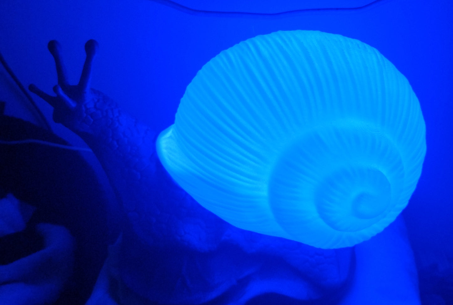 Lampe escargot