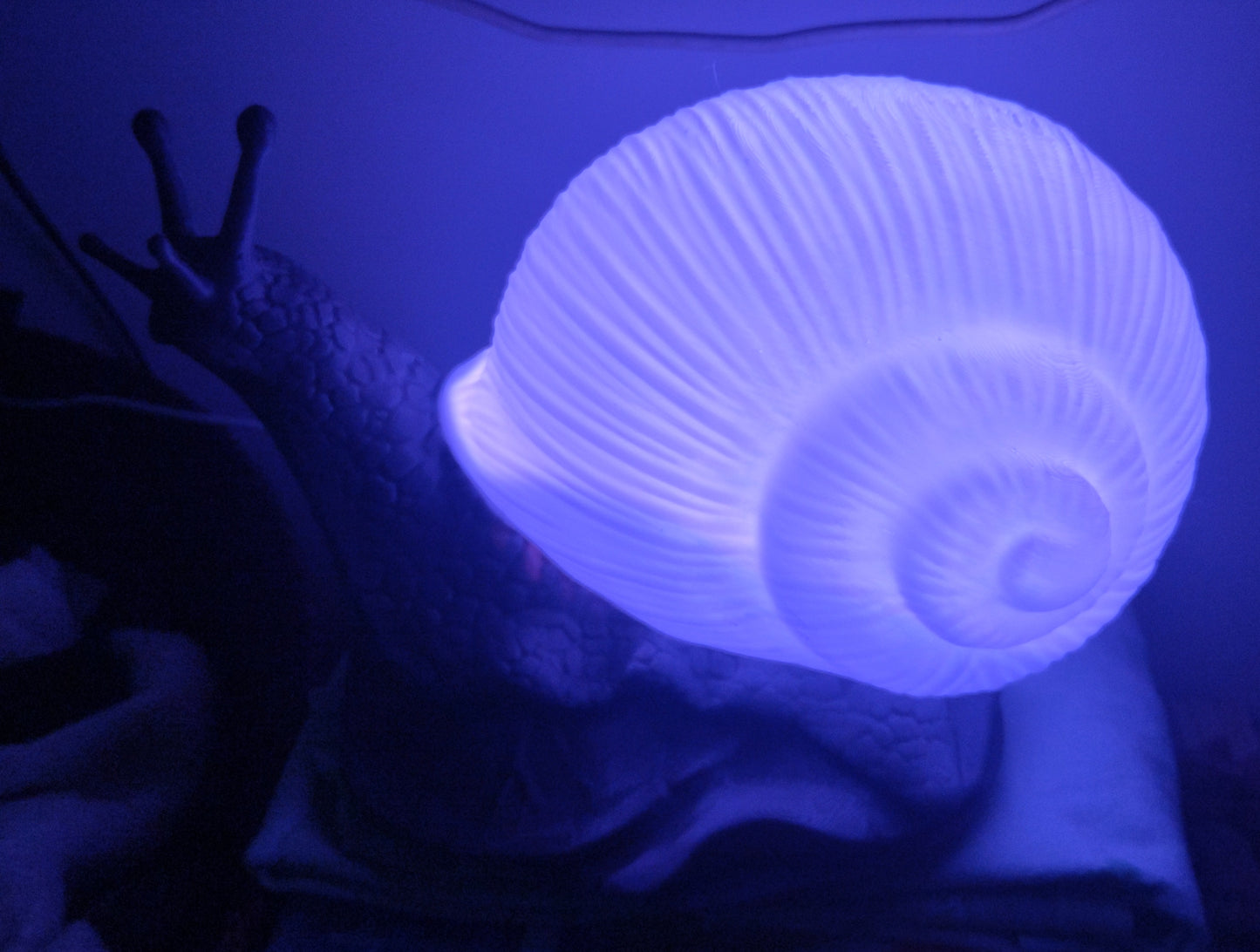 Lampe escargot