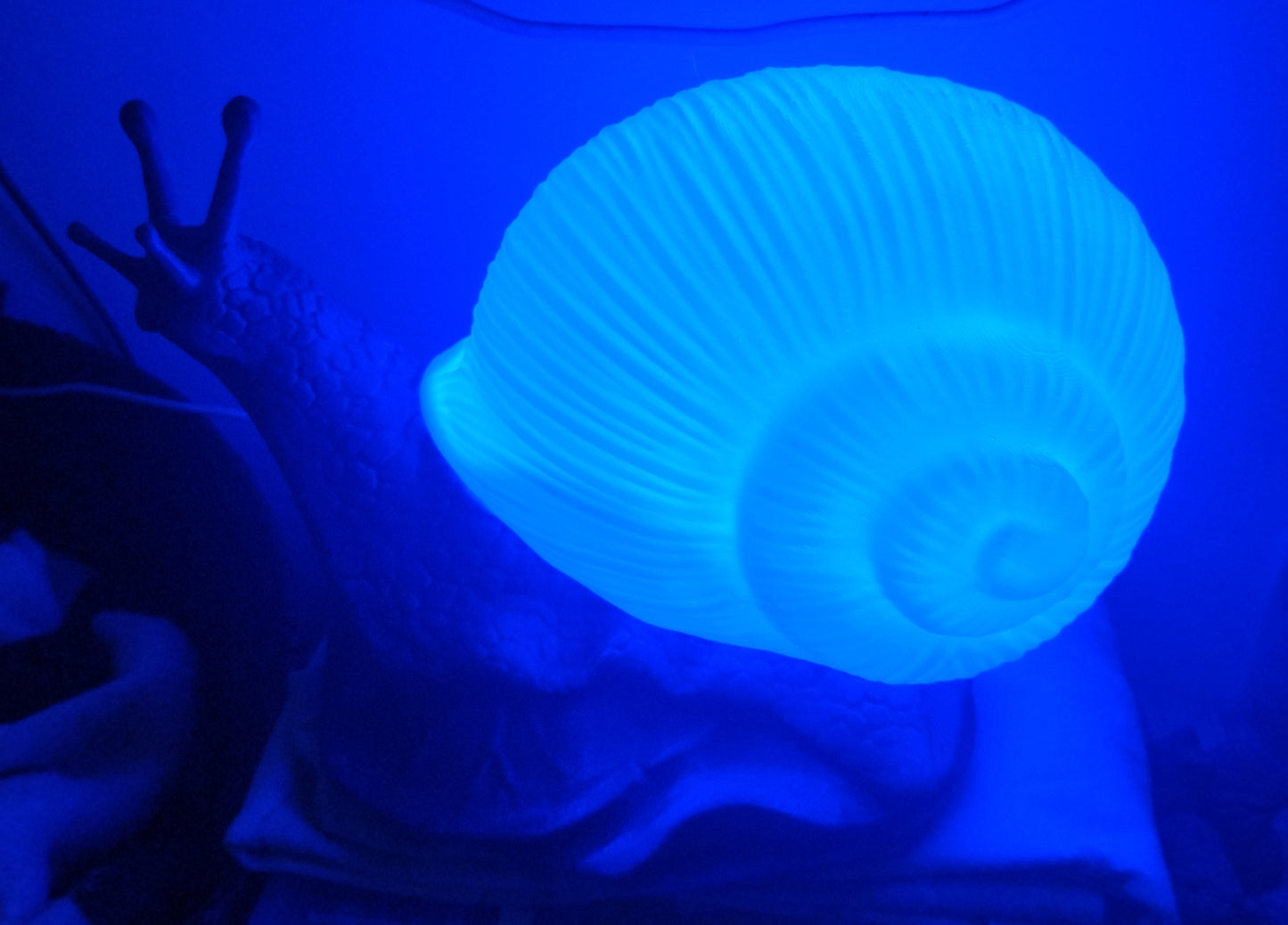 Lampe escargot