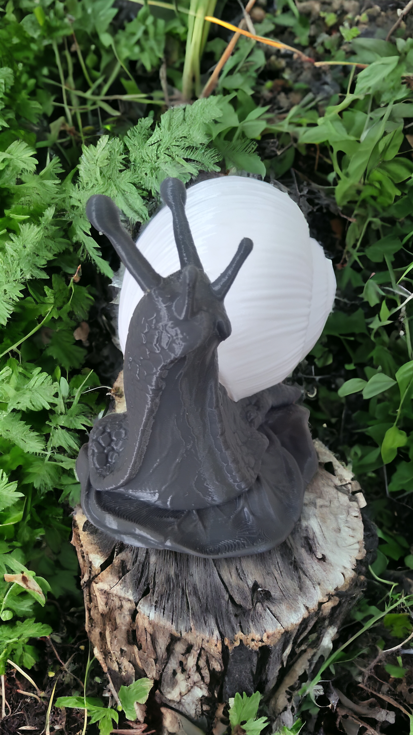 Lampe escargot