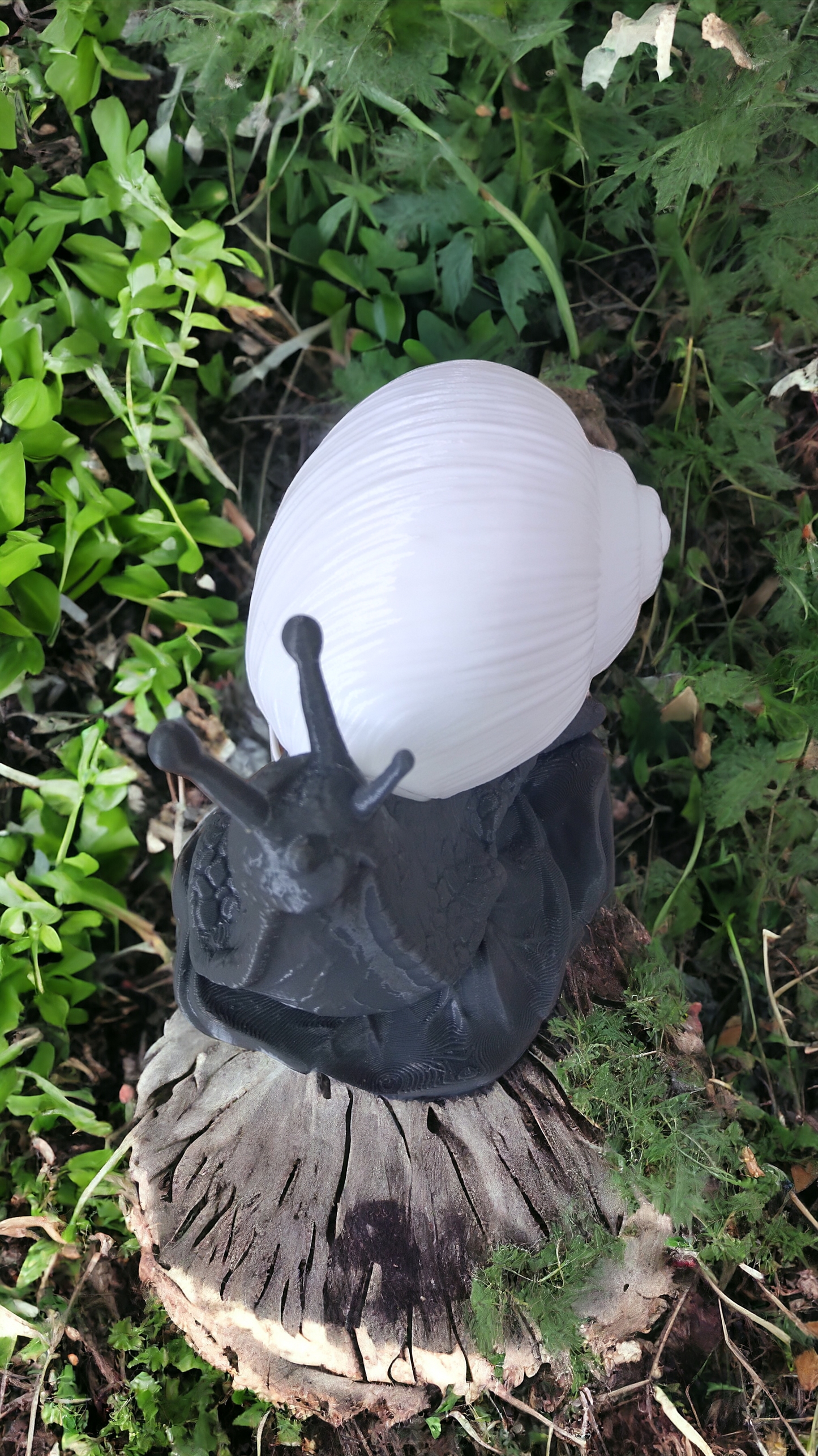 Lampe escargot