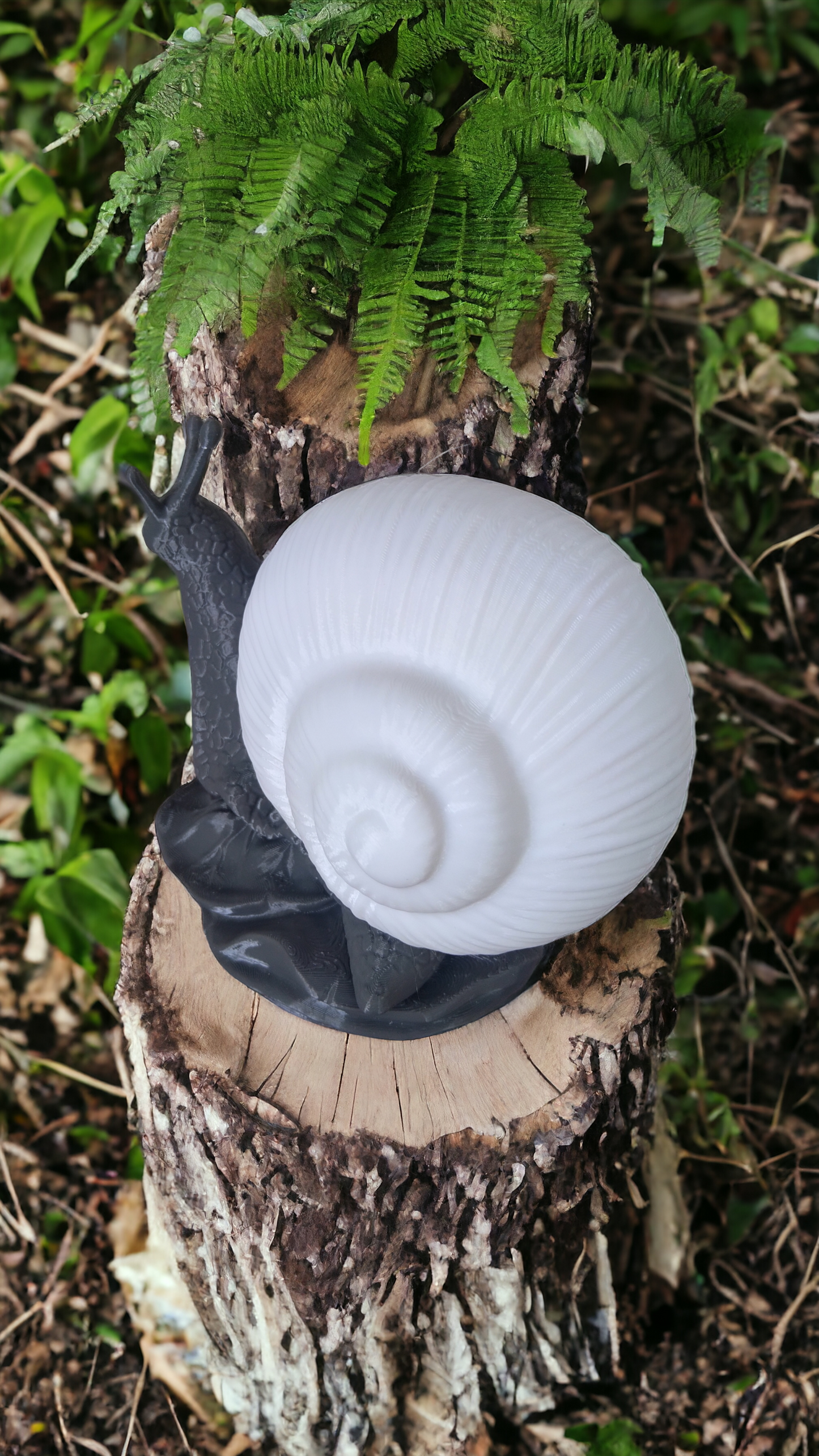 Lampe escargot