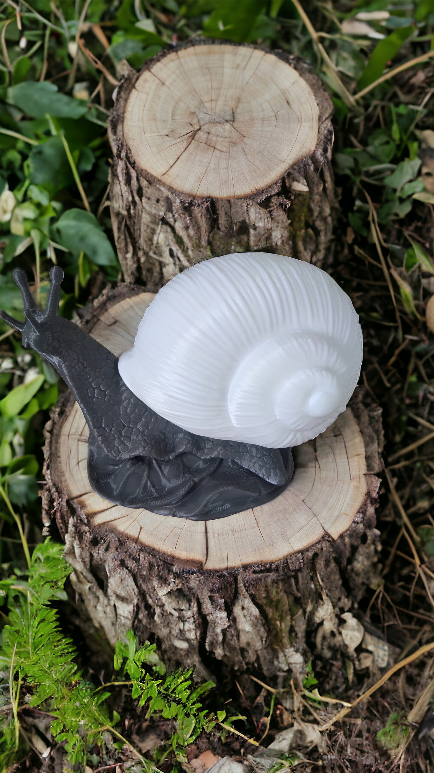 Lampe escargot