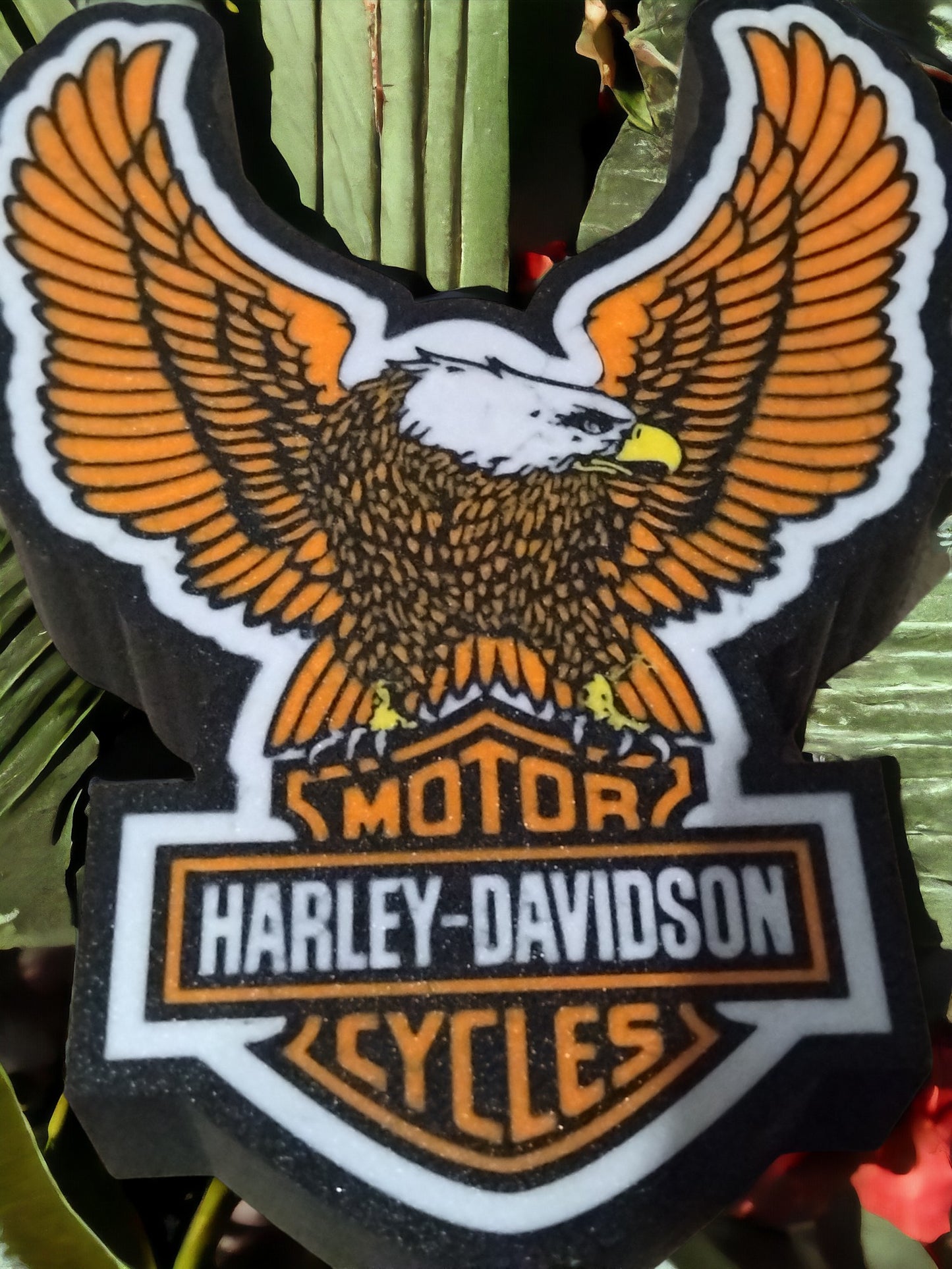 Box lumineuse Harley Davidson