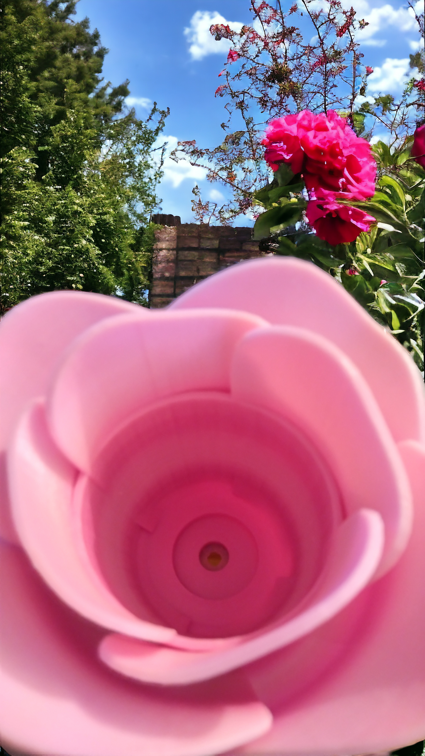 Pot forme de rose