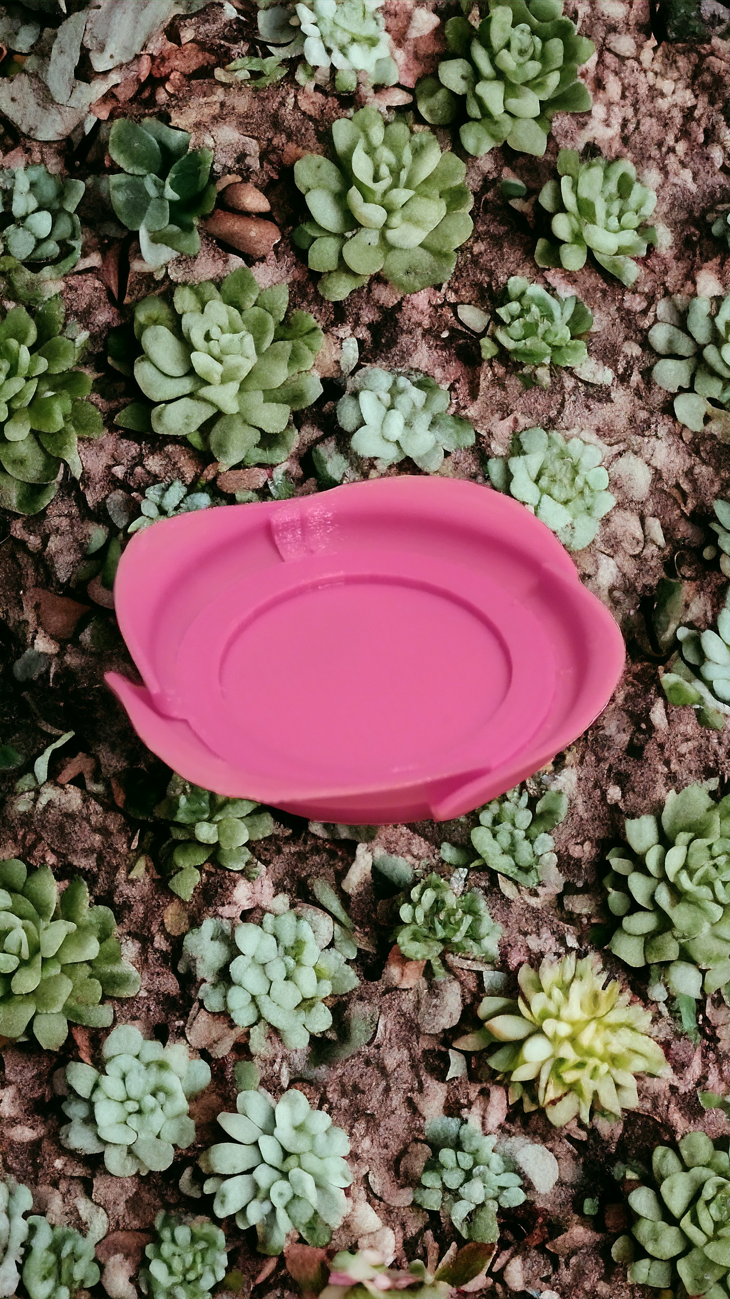 Pot forme de rose